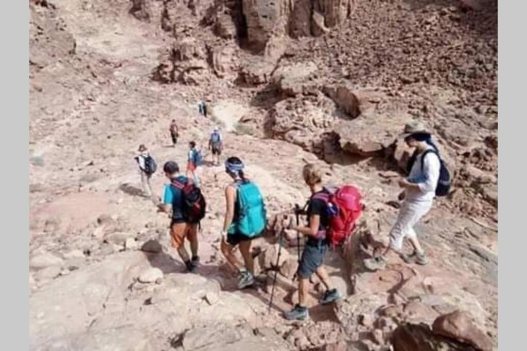 Bedouin Nature Travels Wadi Musa Exterior foto