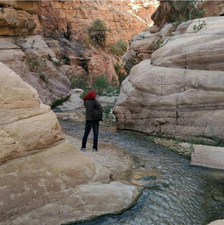 Bedouin Nature Travels Wadi Musa Exterior foto