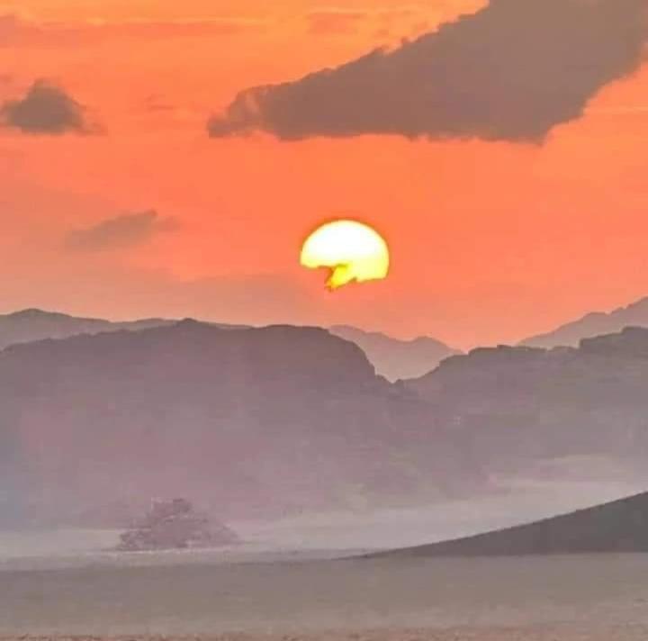 Bedouin Nature Travels Wadi Musa Exterior foto